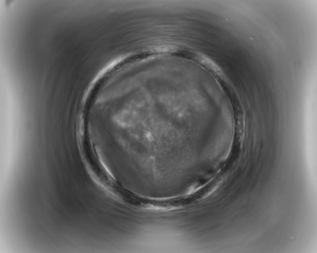 X0000086050726200704091209