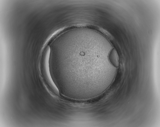 X0000086050728200704091209