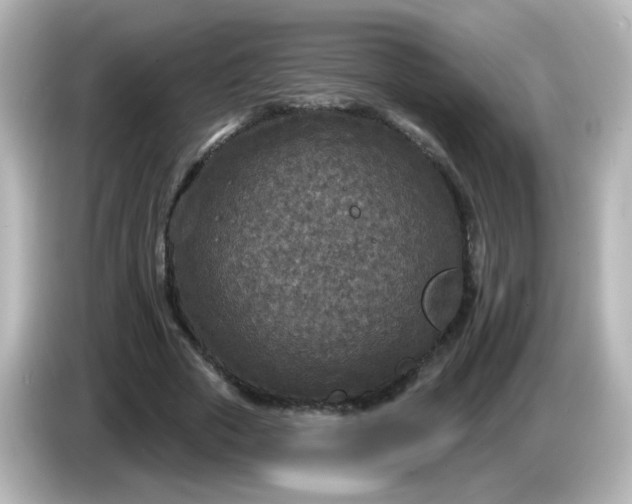 X0000086050729200704091209