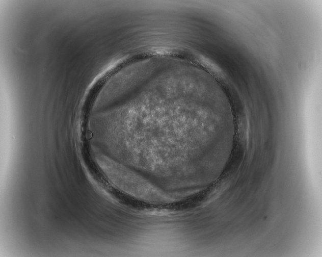 X0000086050730200704091209