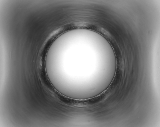 X0000086050731200704091209