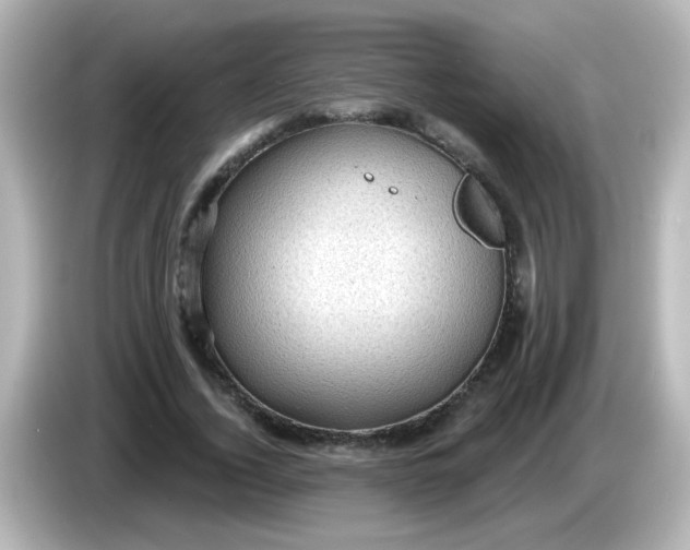 X0000086050732200704091209