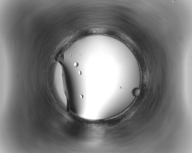X0000086050733200704091209