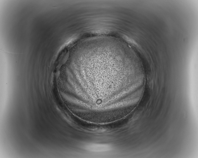 X0000086050735200704091209