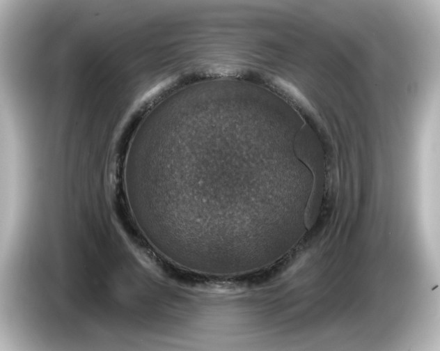 X0000086050736200704091209