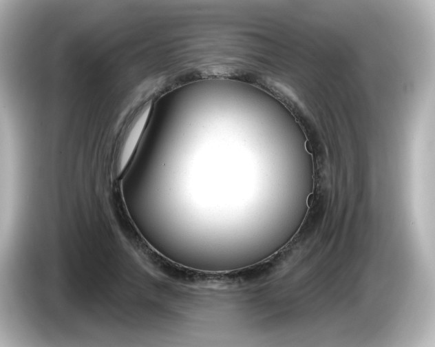 X0000086050738200704091209
