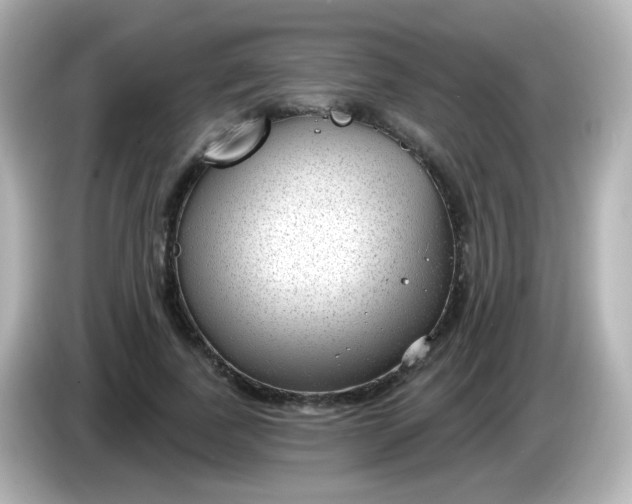 X0000086050739200704091209