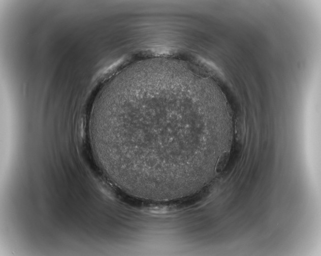 X0000086050740200704091209