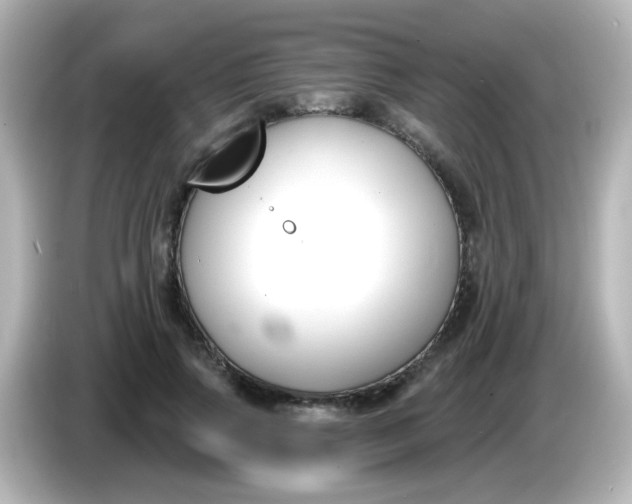 X0000086050741200704091209