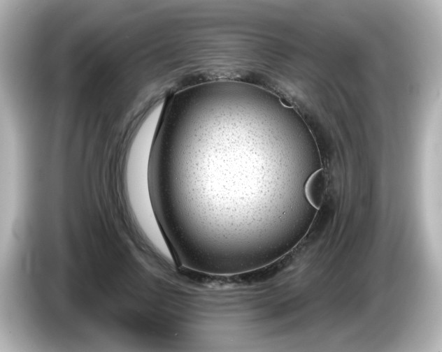 X0000086050742200704091209