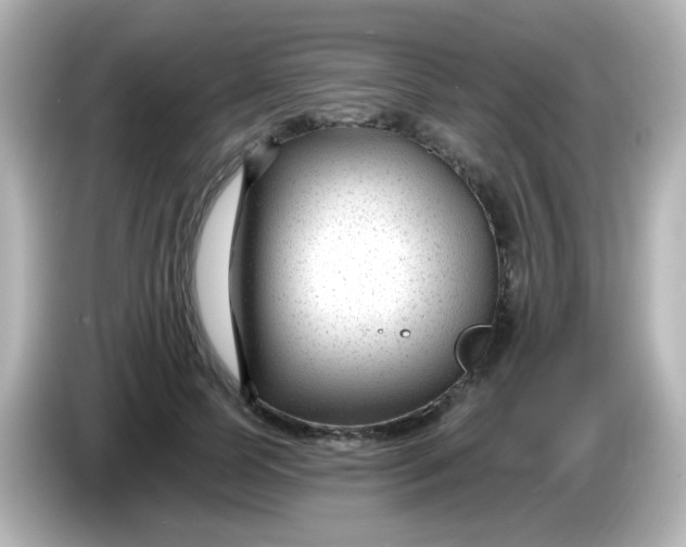 X0000086050745200704091209