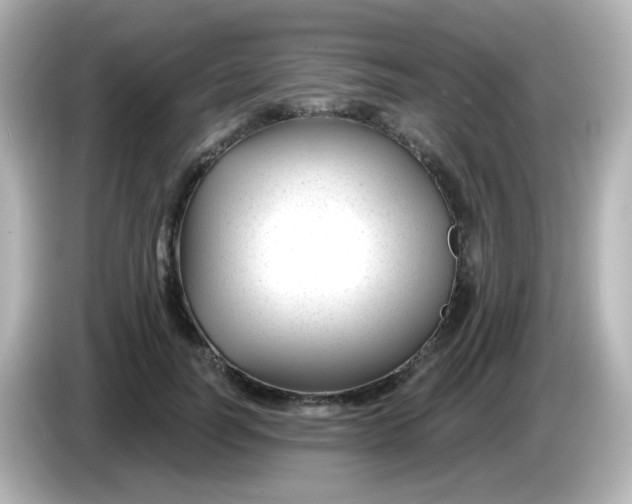 X0000086050746200704091209