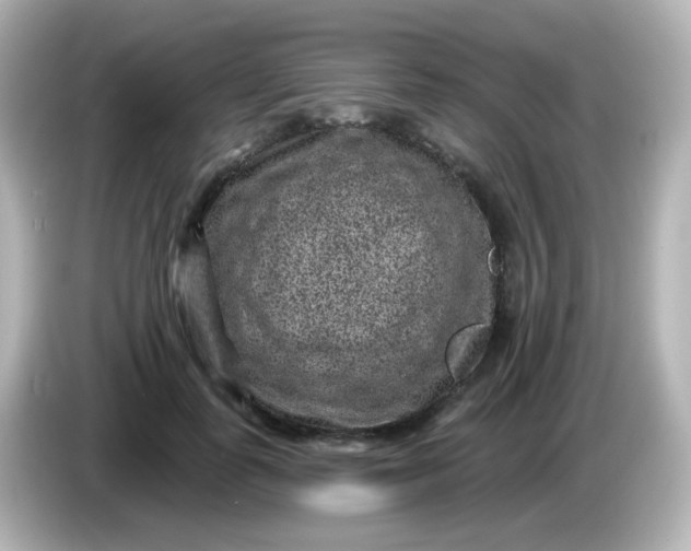X0000086050747200704091209
