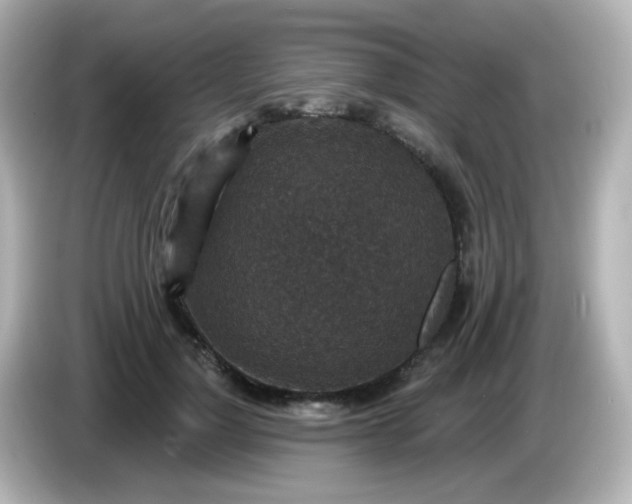 X0000086050748200704091209