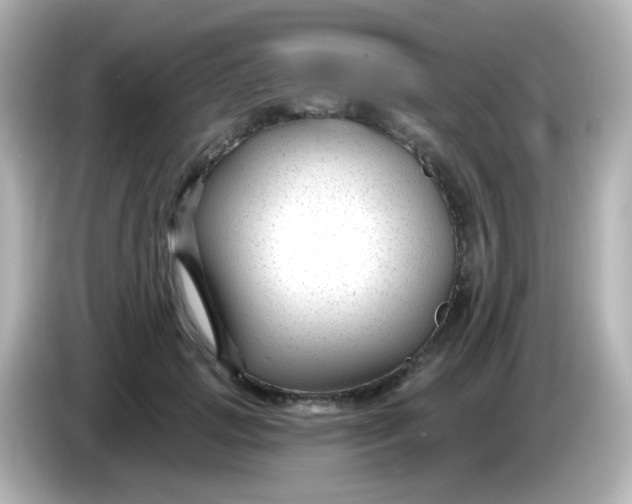 X0000086050749200704091209