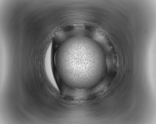 X0000086050750200704091209