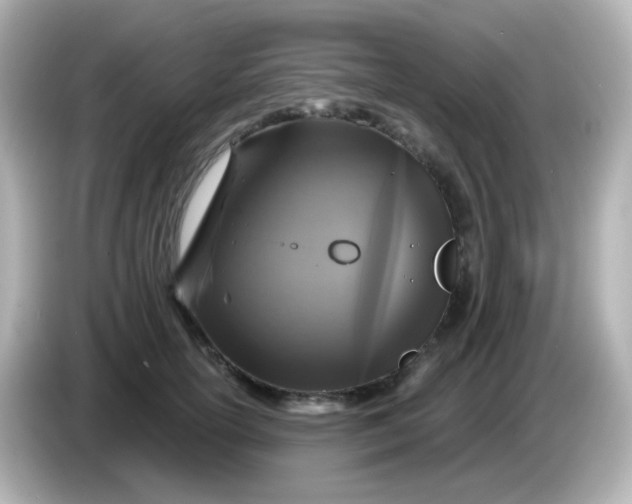 X0000086050754200704091209
