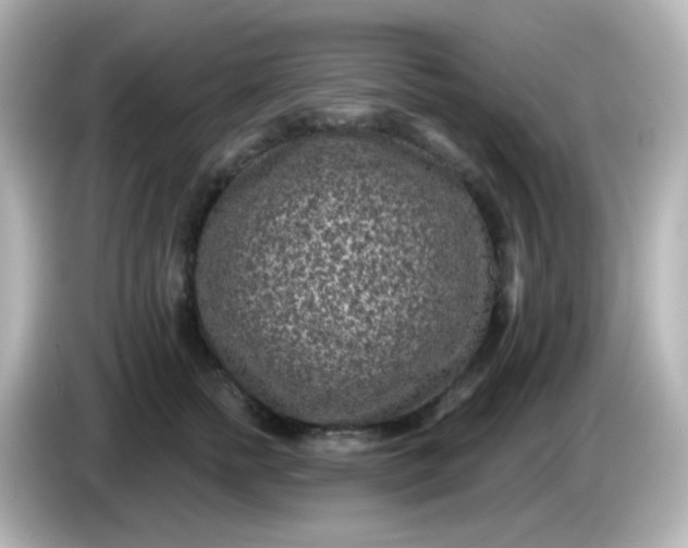 X0000086050758200704091209