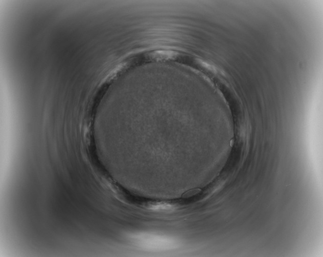X0000086050759200704091209