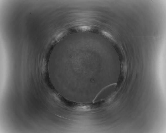 X0000086050760200704091209