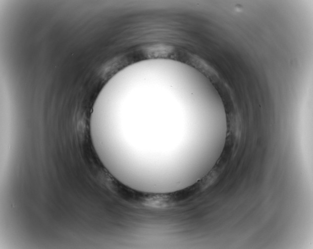X0000086050761200704091209