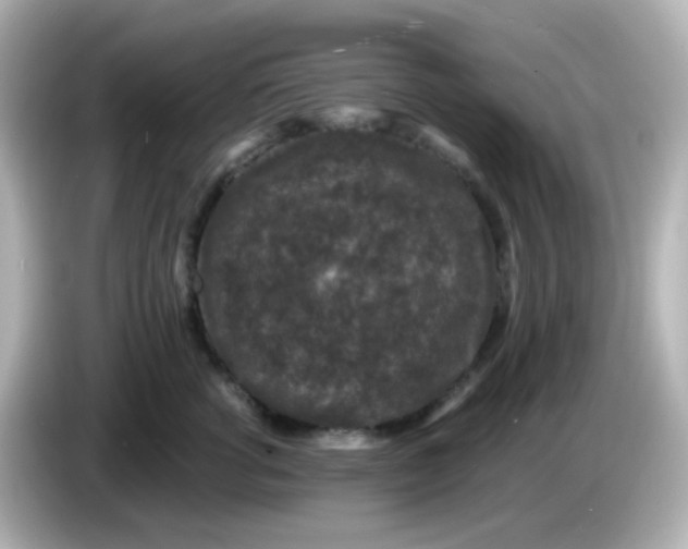 X0000086050762200704091209