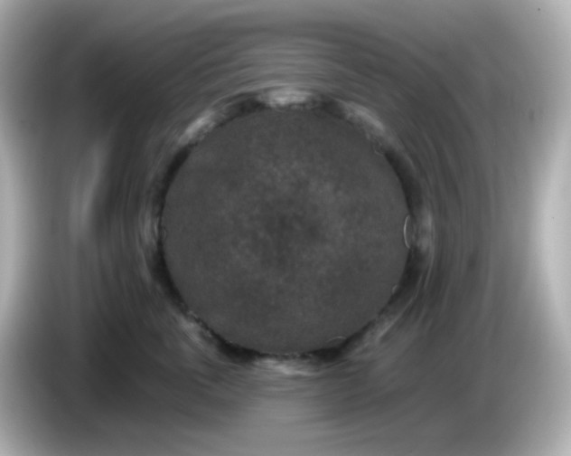 X0000086050763200704091209