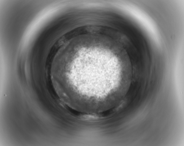 X0000086050765200704091209