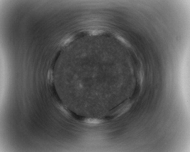 X0000086050766200704091209