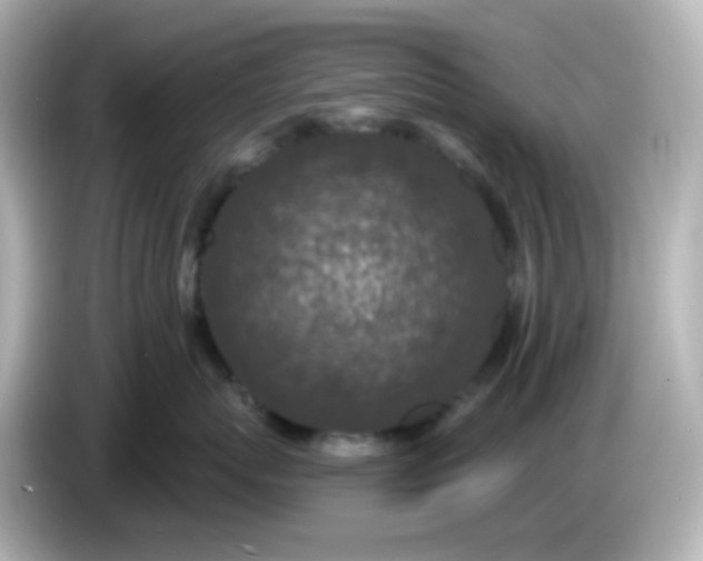 X0000086050767200704091209