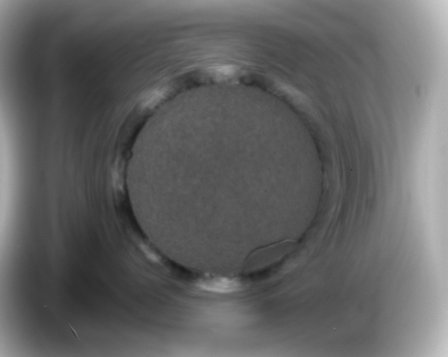 X0000086050768200704091209