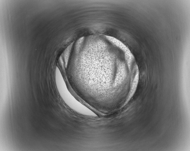 X0000086050772200704091209