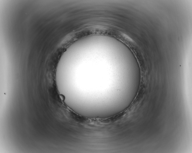 X0000086050774200704091209