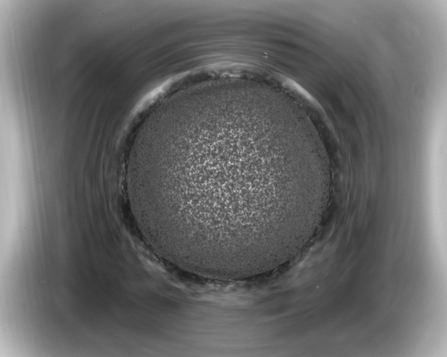 X0000086050775200704091209