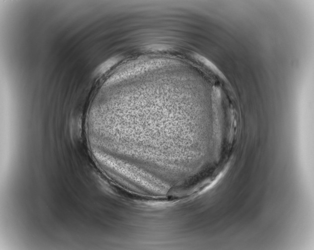 X0000086050777200704091209