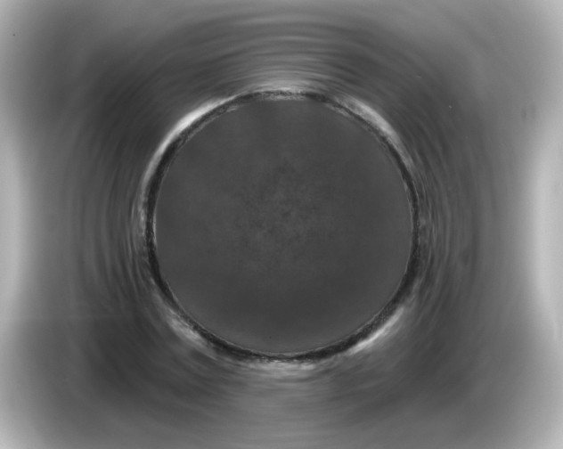 X0000086050779200704091209