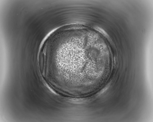 X0000086050780200704091209