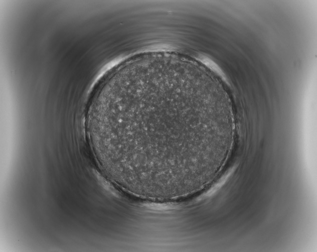 X0000086050781200704091209