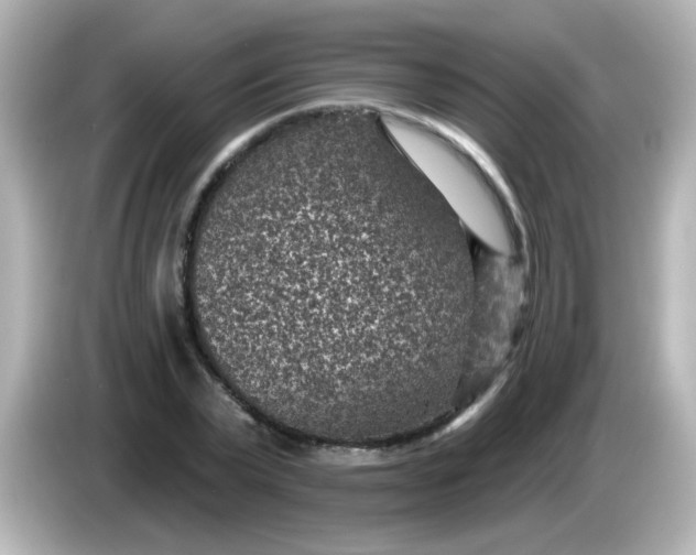 X0000086050783200704091209