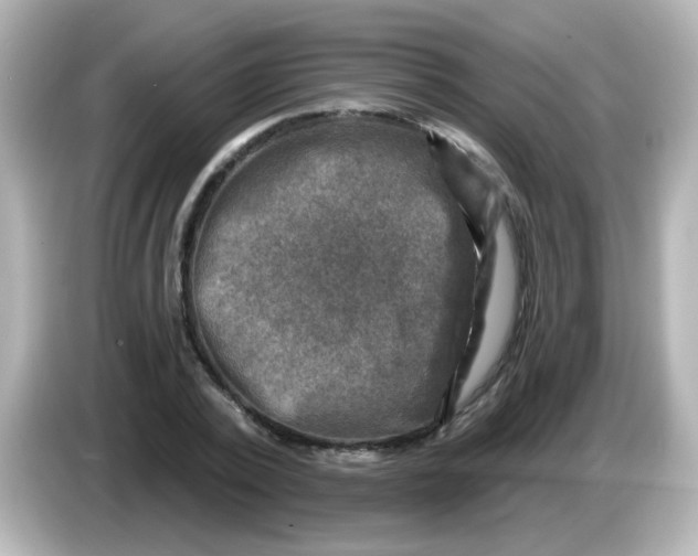X0000086050784200704091209