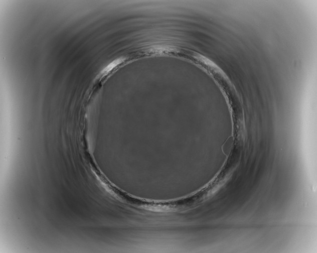 X0000086050785200704091209