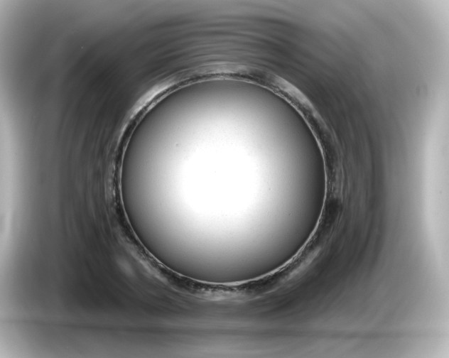 X0000086050786200704091209