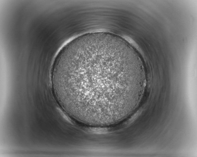 X0000086050789200704091208