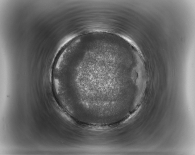 X0000086050790200704091208