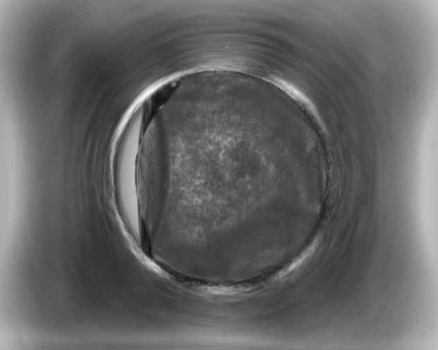 X0000086050792200704091208