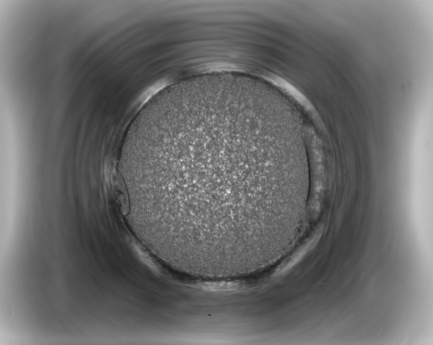X0000086050793200704091208