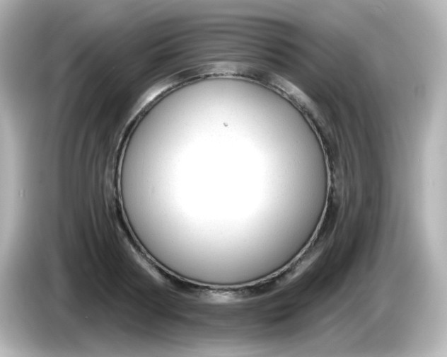 X0000086050794200704091208