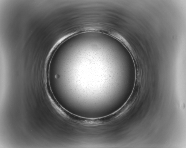 X0000086050795200704091208