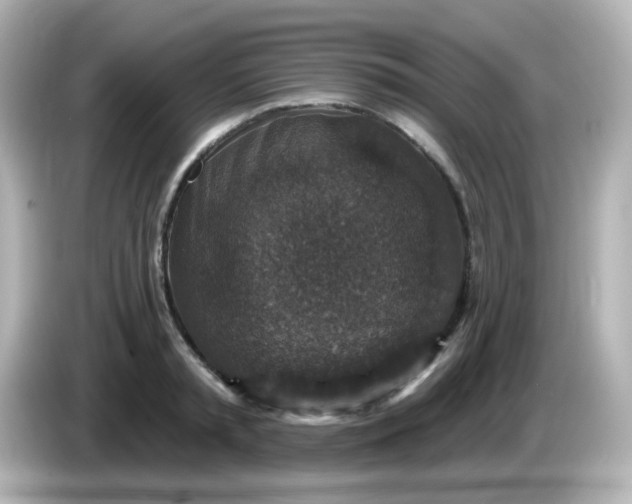 X0000086050797200704091208