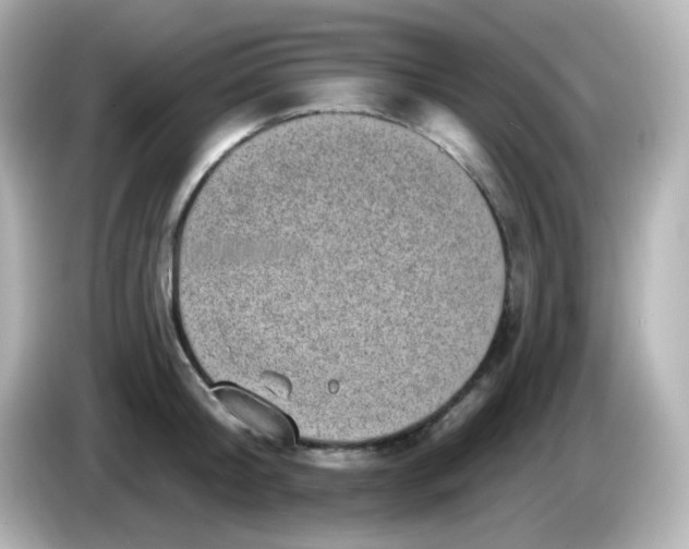 X0000086050804200704091208